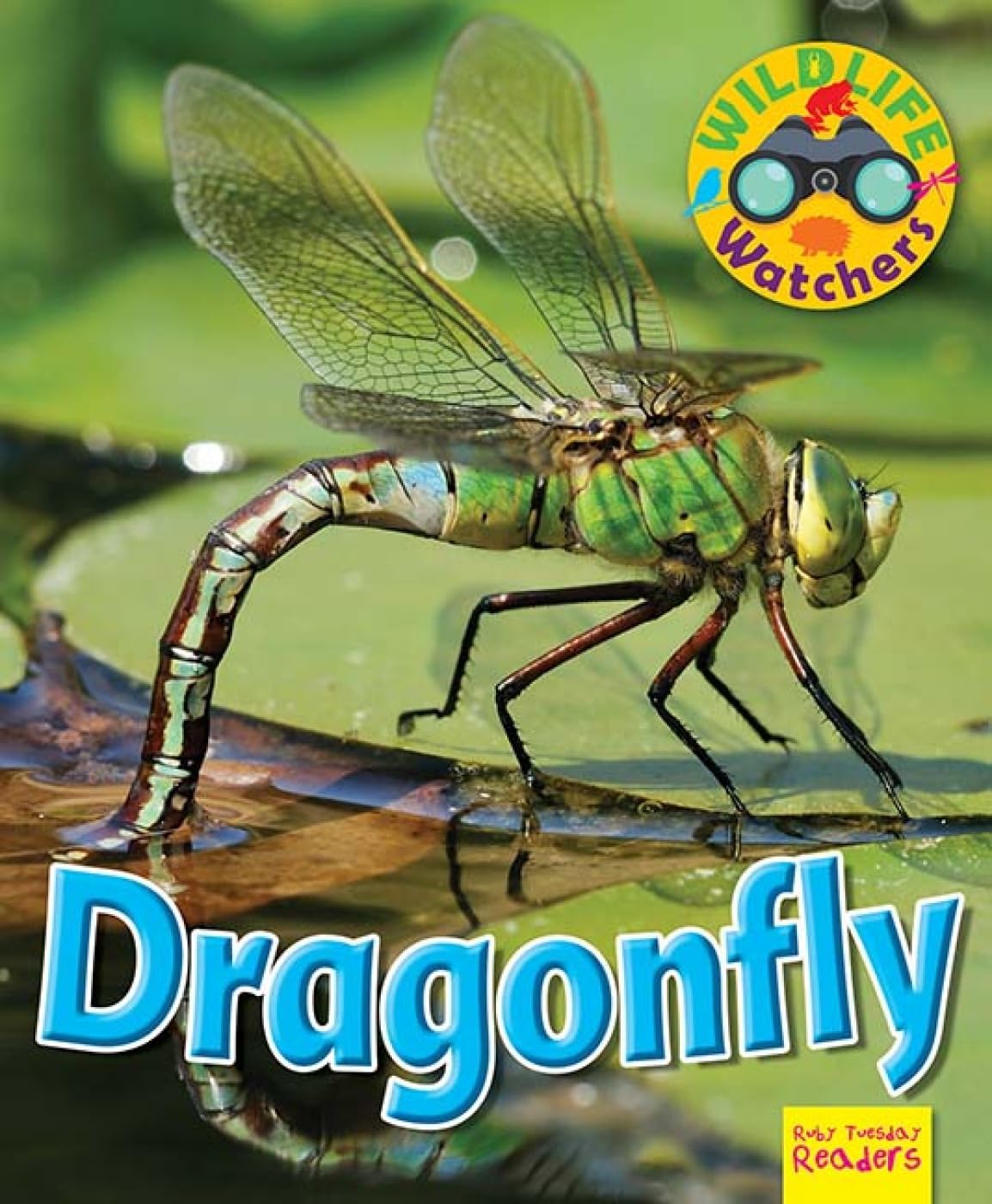 Ruth Owen - Wildlife Watchers: Dragonfly - Paperback Book