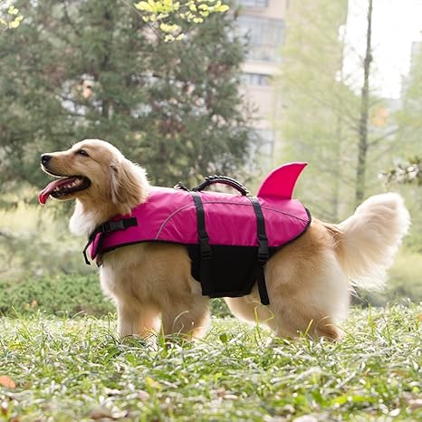 big dog life jacket
