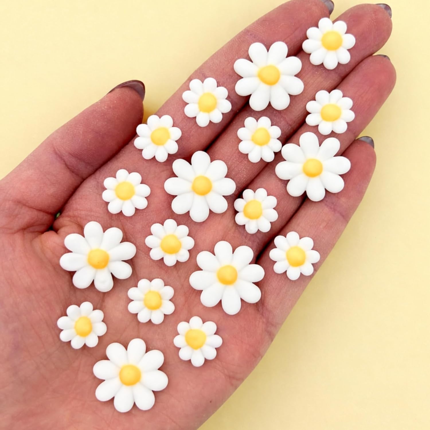 Icing Daisies | Edible Sugar Flowers | Daisy Cake Toppers | Edible Flower Decorations for Baking | Simply Sucré (36 Daisies)