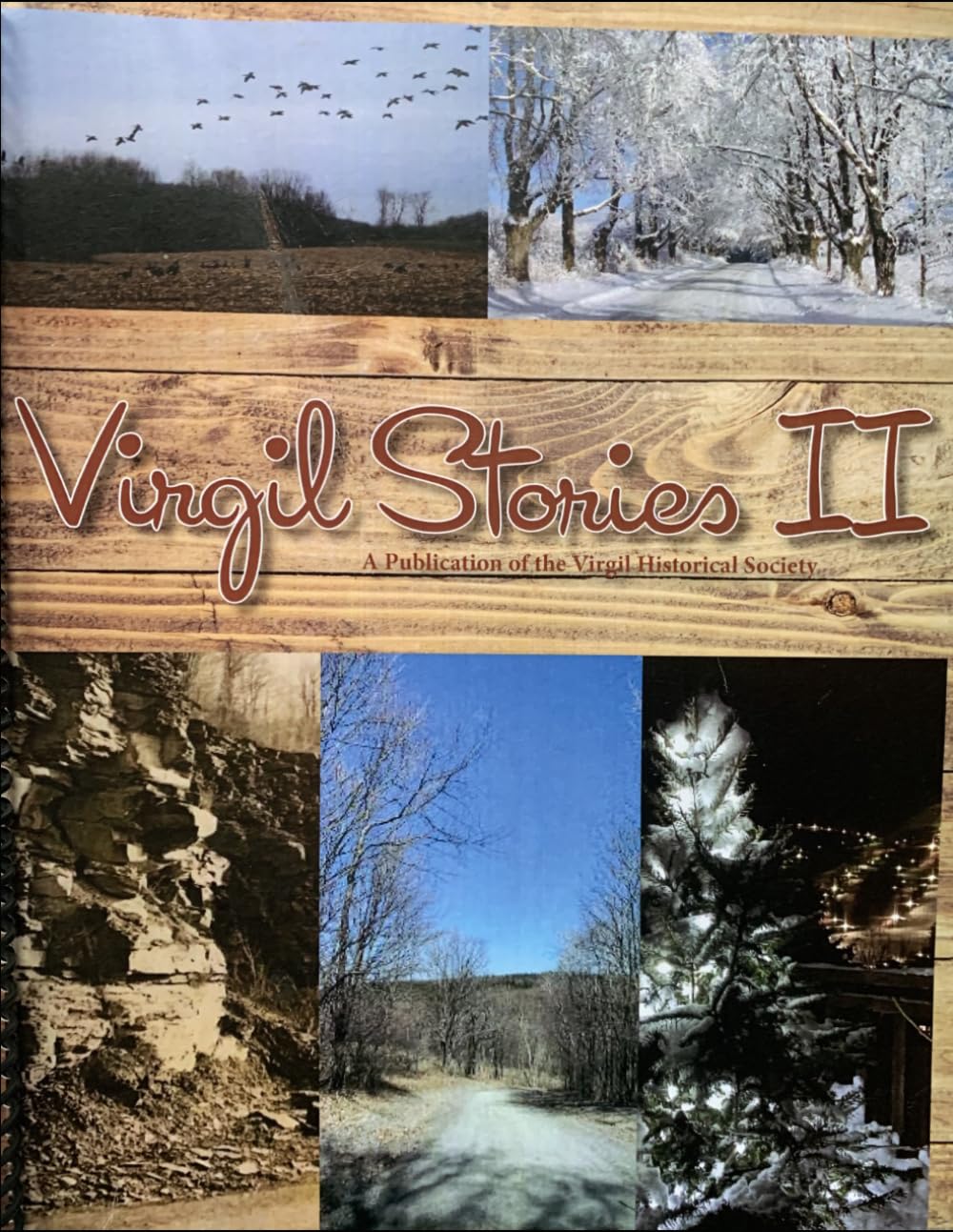 Virgil Stories II: A Publication of the Virgil Historical Society