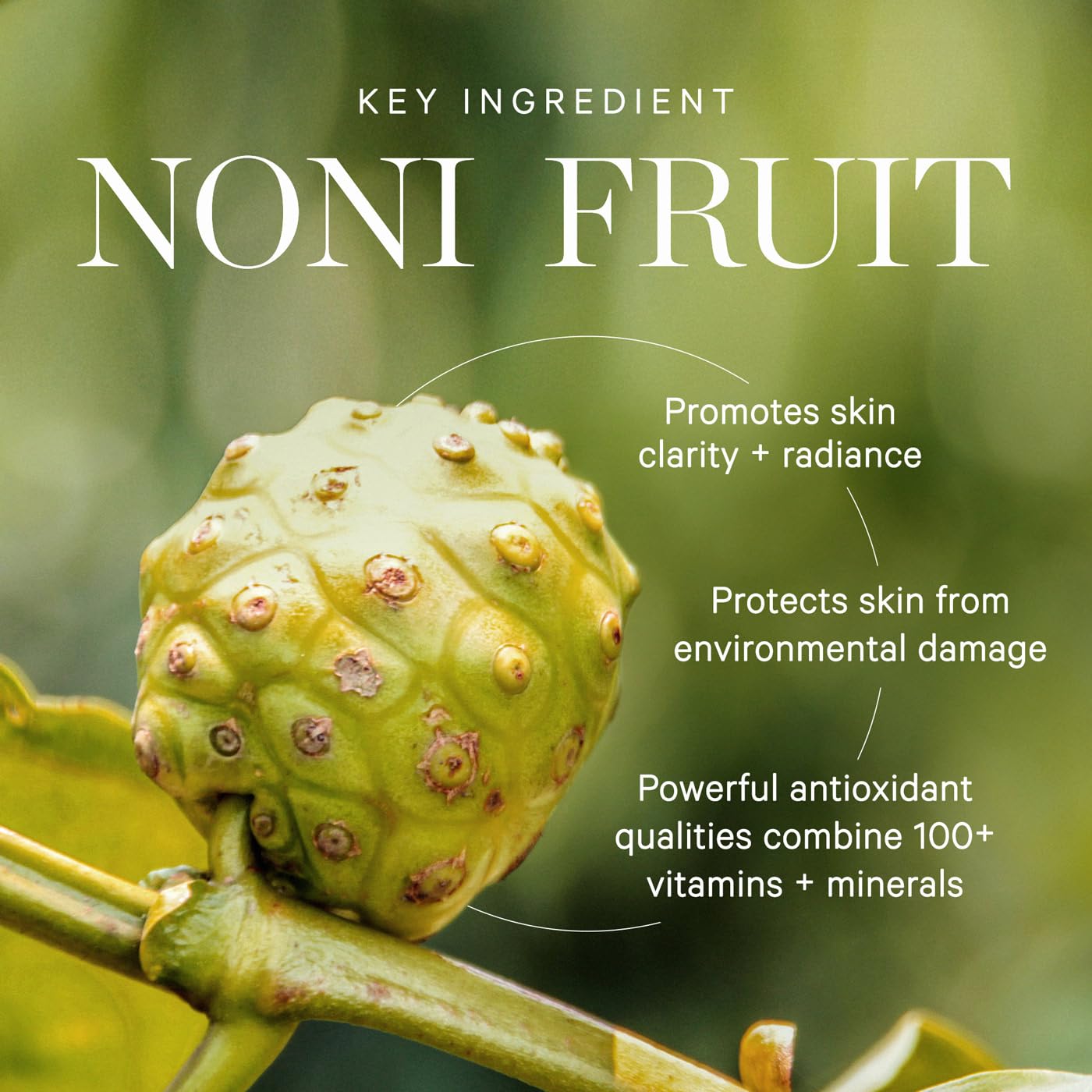 KORA Organics Noni Radiant Eye Oil 10ml – Organic Eye Treatment with Noni, Tomato & Marine Bamboo Extracts to Brighten, Smooth, Reduce Puffiness & Dark Circles 2