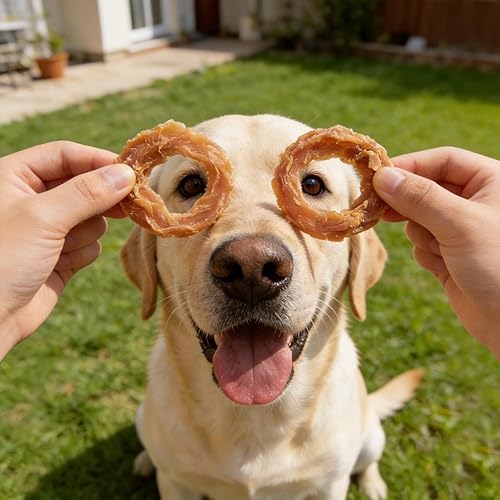 Miniatura 2 de Jungle Calling Anillos de pollo, golosinas para perros, carne seca de pollo asada lenta, masticables para perros sin cuero crudo, golosinas de