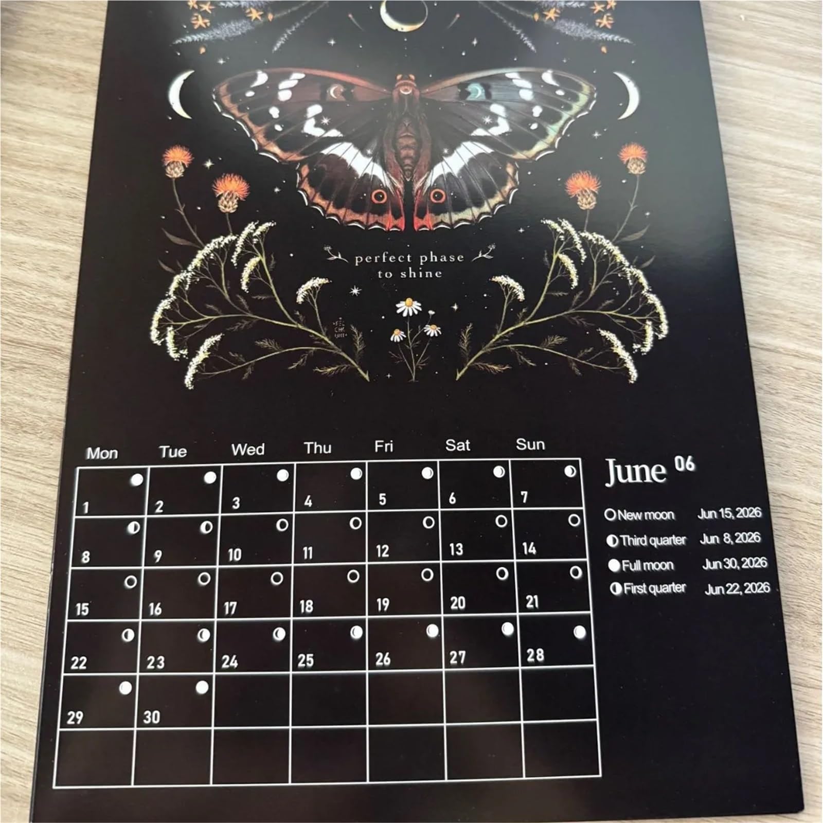 Calendario Calendario 2026 della Foresta Oscura Art House Lunare