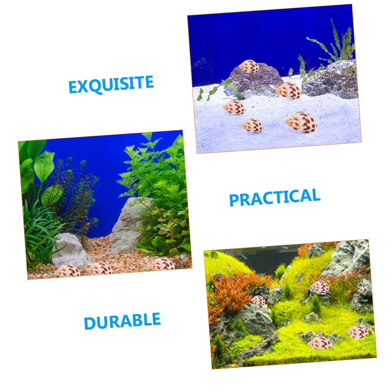 Cabilock 2 Set Conchiglia Vuoto Mare Granchio Eremita Carro Armato di Pesci di Ghiaia Coperchio Decor Ocean Oyster Beach Conchiglie Versare Spiaggia Fish Tank Decor Conchiglia 160 Pezzi * 2