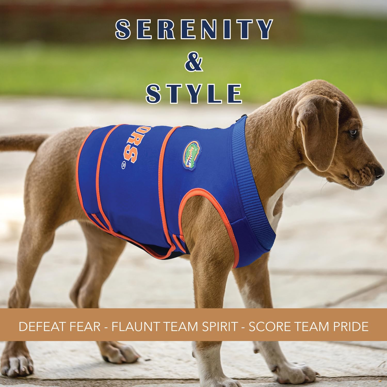 NCAA Florida Gators - Chaleco calmante para la ansiedad para Perros, para Perros y Gatos con ansiedad, miedos, Fuegos Artificiales, Ruidos Fuertes, Oscuro, Solitario, Mantiene a los Perros tranquilos
