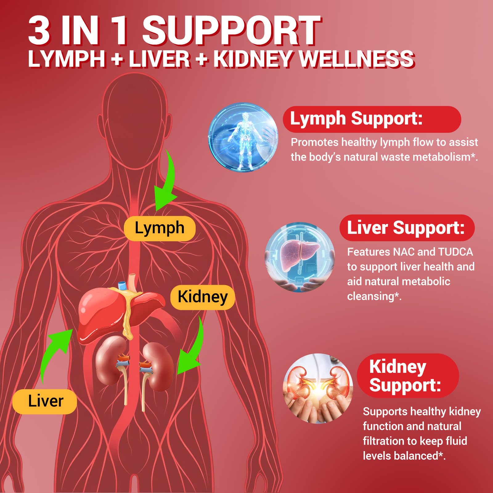 32-in-1 Kidney & Liver, Lymph Cleanse Detox & Repair Drops with Cranberry, Milk Thistle, Chanca Piedra for Lymphatic Drainage, Kidney & Live, Urinary Tract Support, Mixed Berry Flavor, 2 Fl Oz — Amazon image 3
