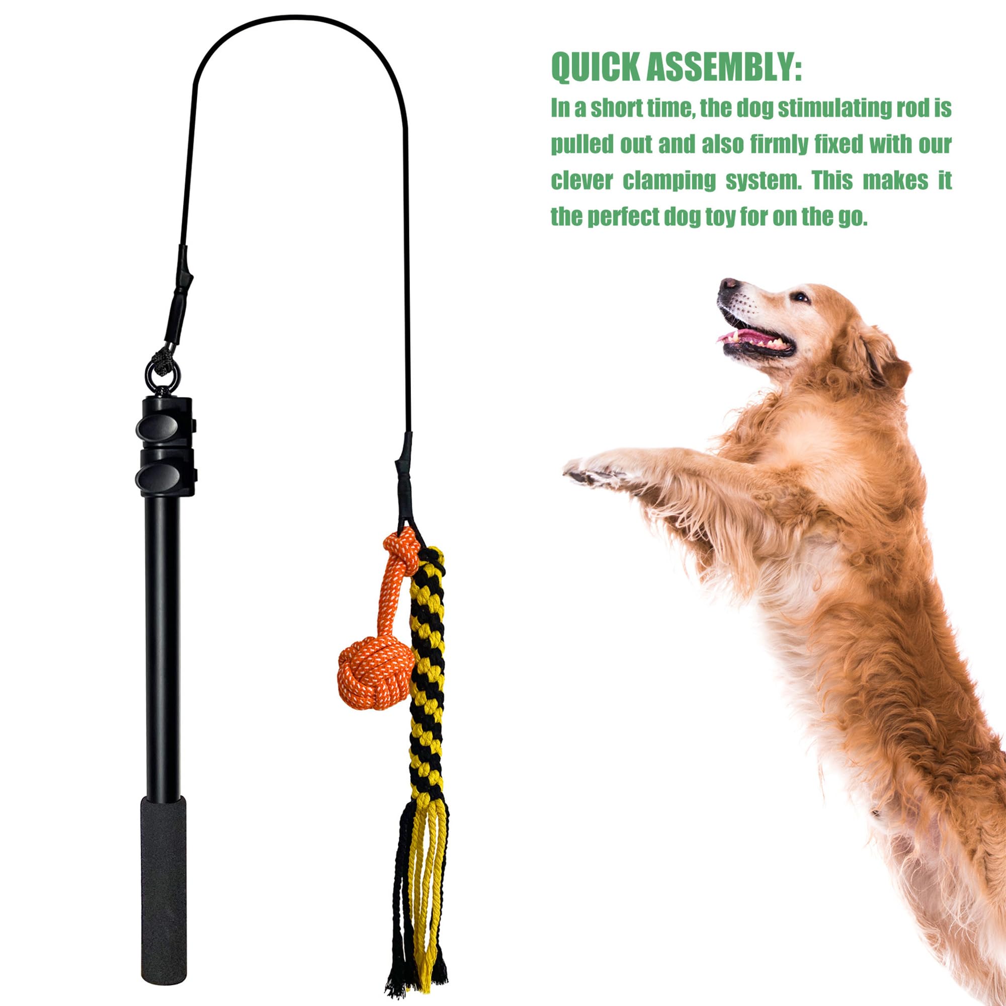 Flirtstange für Hunde, zusammenklappbar, ausziehbar, mit Quietschspielzeug, Jagdseil, Ballspielzeug, Agility-Trainingsgerät für kleine, mittelgroße und große Hunde, Trainingsgeräte für Hunde