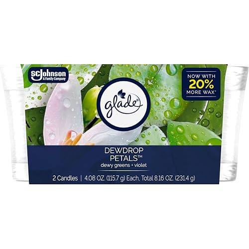 Glade 1-Wick Scented Candle Jar, Dewdrop Petals, Air Freshener Infused with Essential Oils, 4.08 Oz, 2 Count