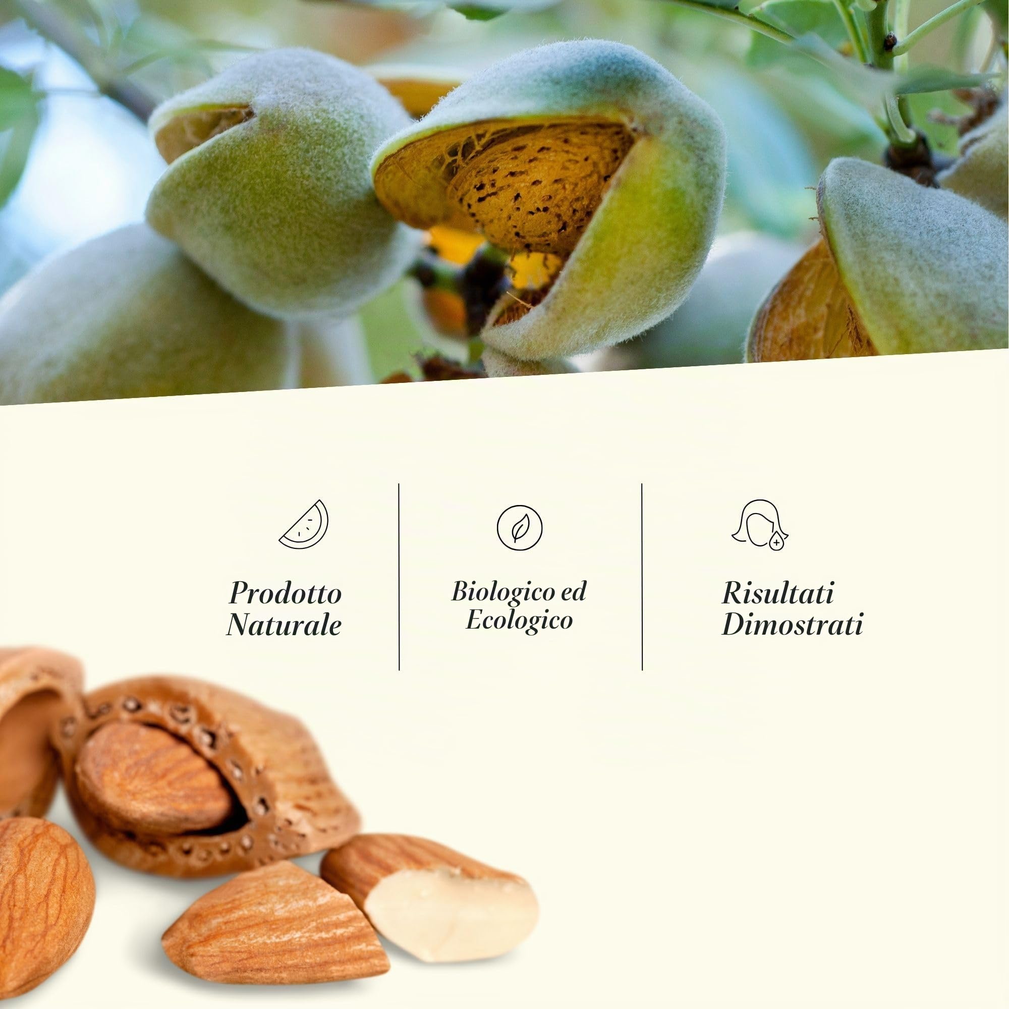 Olio di Mandorle Pelle (Corpo e Viso) e Capelli, Anti Smagliature Gravidanza, Pelle Atopica e Bambini, Olio per Massaggi Professionale, Idratante e Ricco Vitamina E. 100% Naturale e Puro - 5000 ml