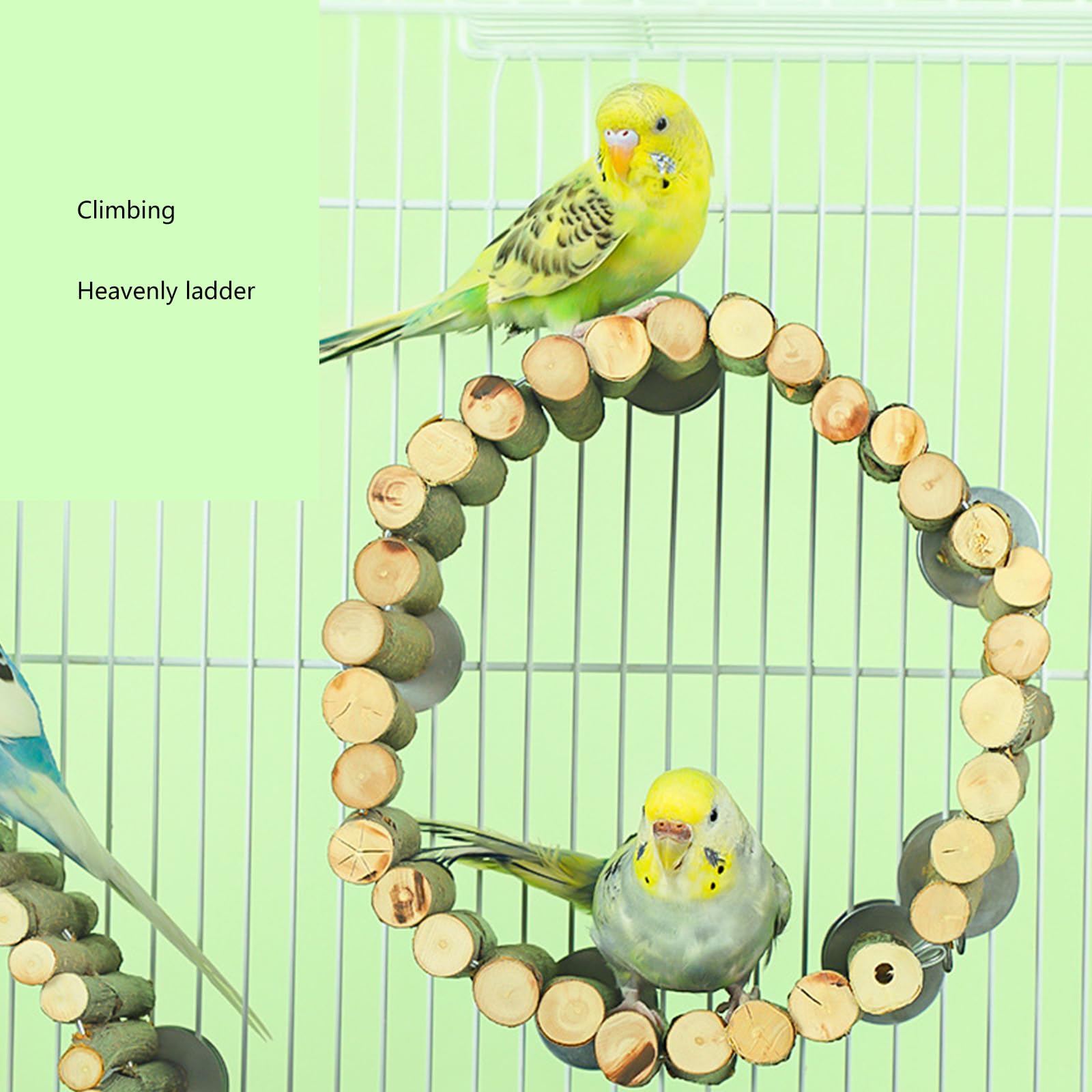 2PCS Papagei Leiter Spielzeug Vogelkäfig Holz Stehende Brücke Vogel Schleifen Playstand Spielzeug Holz Übung Stand Vogel Leiter für Vogelkäfig