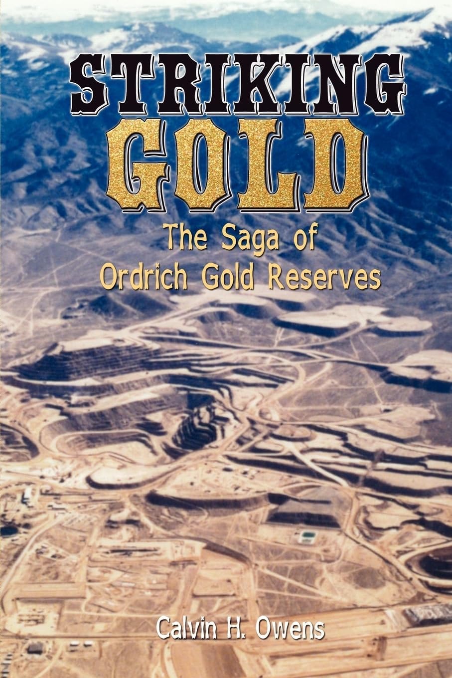 Striking Gold: The Saga of Ordrich Gold Reserves Paperback – 15 November 2012