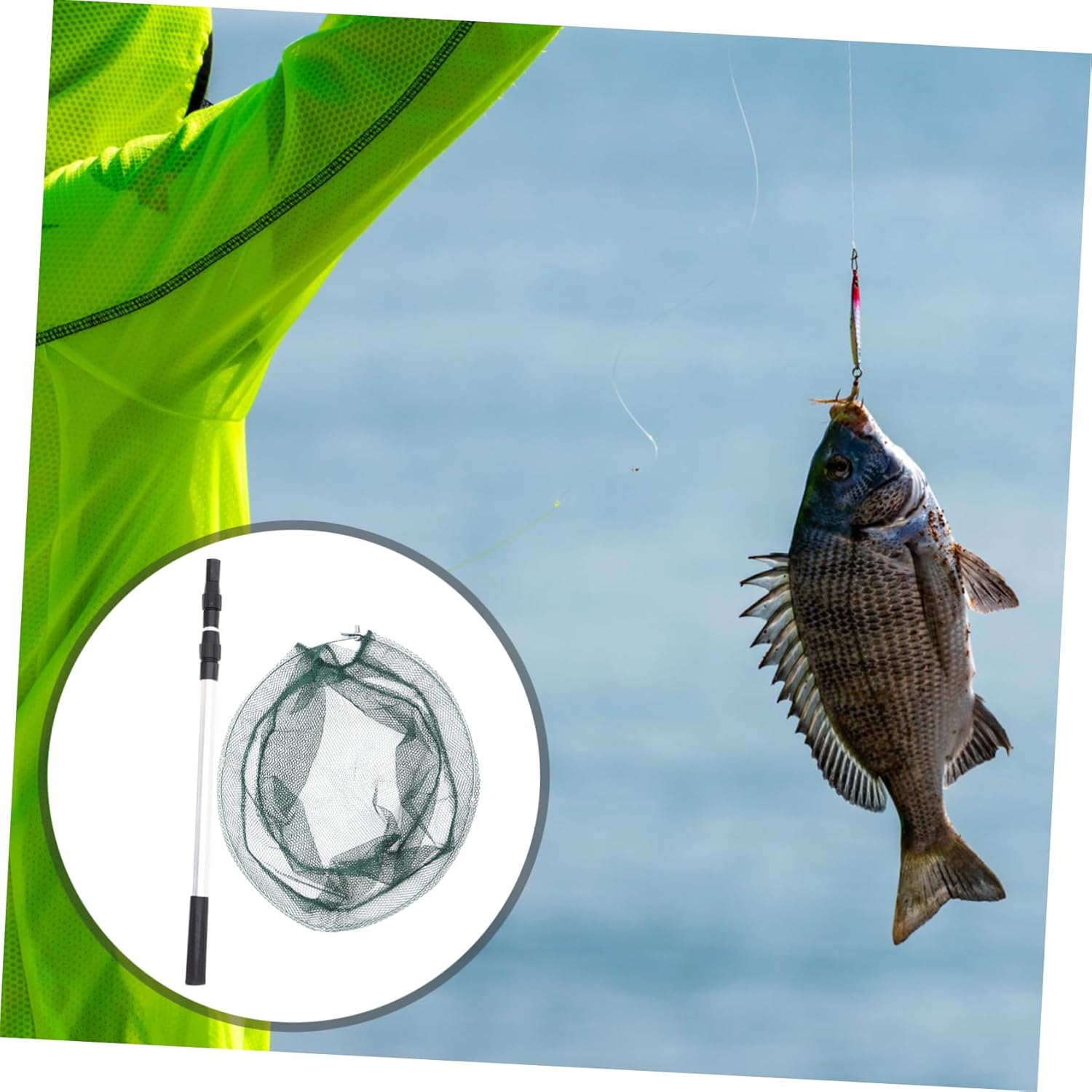 BESPORTBLE Telescopic Fish Net Foldable Net for Aquarium Handle Telescoping Pole Random Style