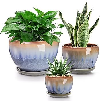 AVLA 3 Pack Ceramic Plant Pots, Gardening Drip Glazed Planters, Decorative Flower Pot with Drainage Hole and Saucer, Round Rustic Houseplant Container for Succulent Herbs Cactus Orchid, Home Office
