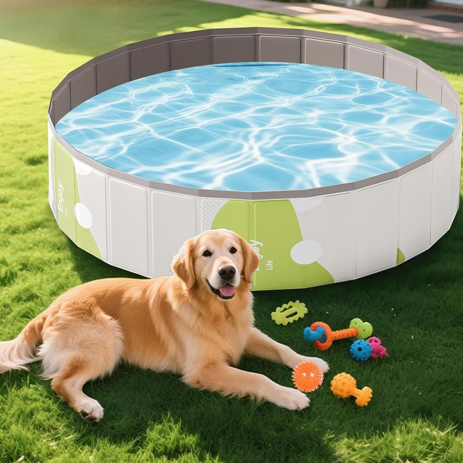 Piscina per cani, in PVC, rotonda, non gonfiabile, portatile, per adulti e famiglia