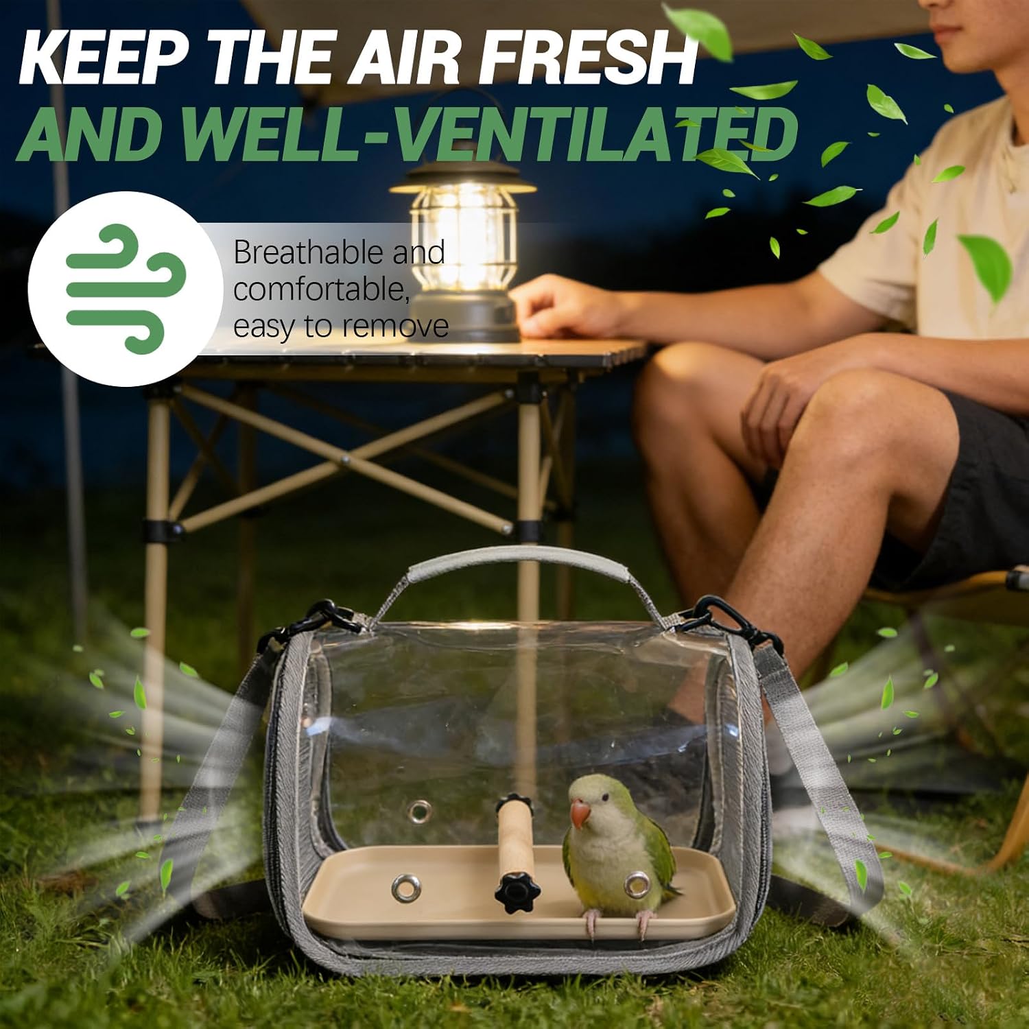 Small Bird Travel Carrier Cage with Wood Stand Perch & Plastic Tray, Parrot Transport Carrier, Portable Clear Bird Travel Bag Lightweight Pet Cage for Parakeet Cockatiel Budgies Conure