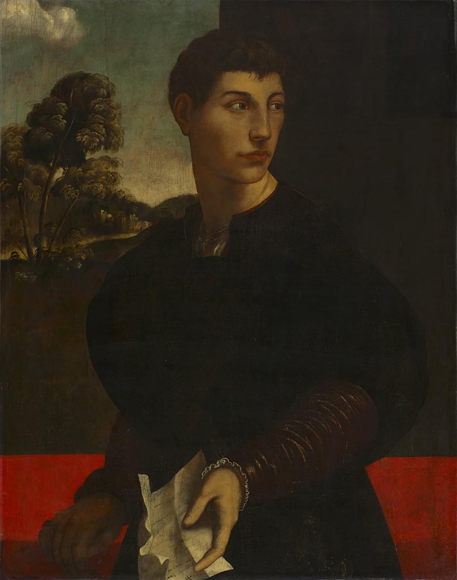 ARTXLXXBN Famous Prints Artwork Pictures Poster Painting Art Portrait of a Young Man by Dosso Dossi Artwork Landscape Pictures for Home Decor 60x90cm
