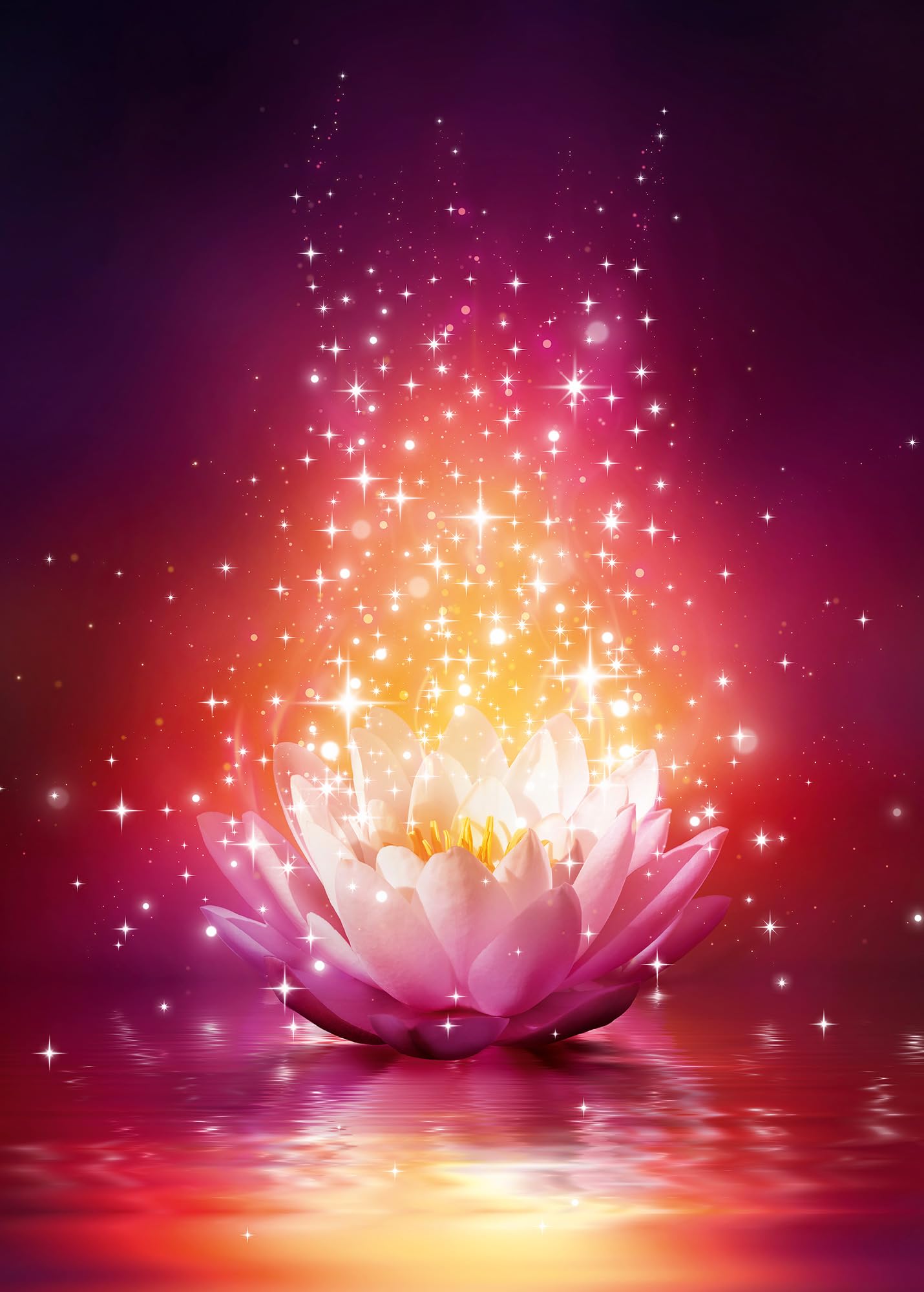 Ulmer Puzzleschmiede - Puzzle "Lotus-Magia" - Puzzle artístico y moderno de 2000 piezas - Fantástica flor de loto como flor mágica brillante en el agua - Puzle de calidad fabricado en Alemania