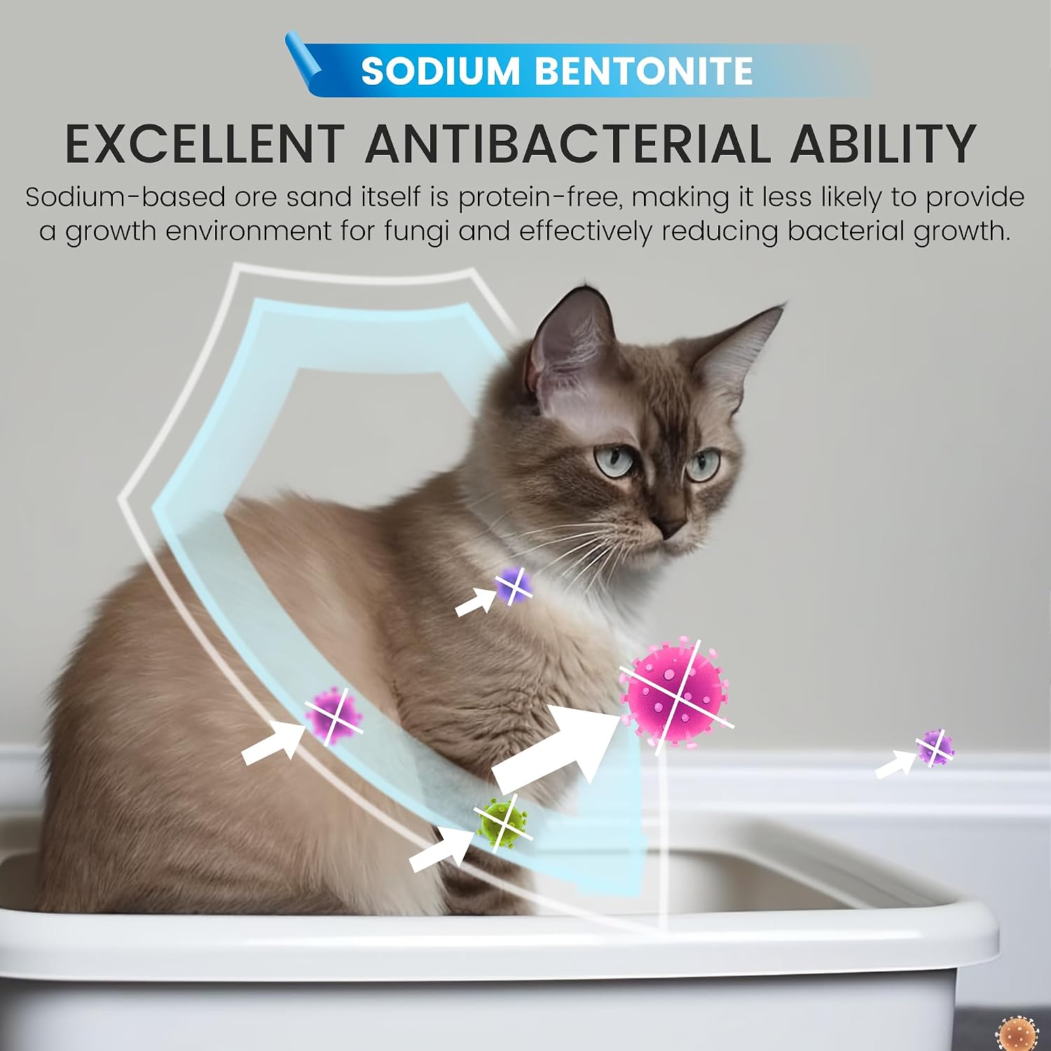 Wisesorb 40lbs Cat Litter, Extreme Odor Control,Naturally nodium bentonite with Activated Carbon