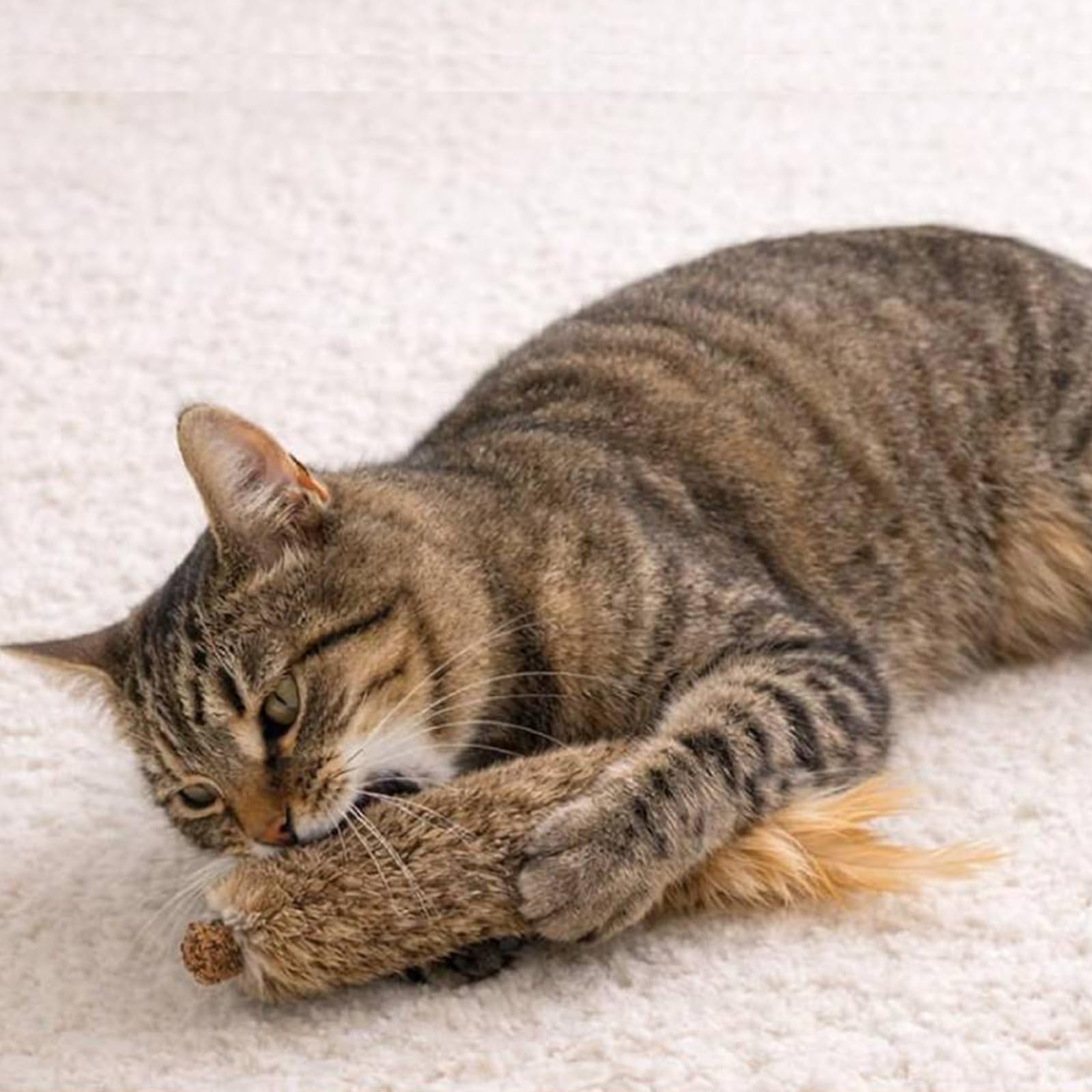 Giocattoli interattivi per gatti con coniglio finto, erba gatta e noce di galla argentata, stimola e pulisce