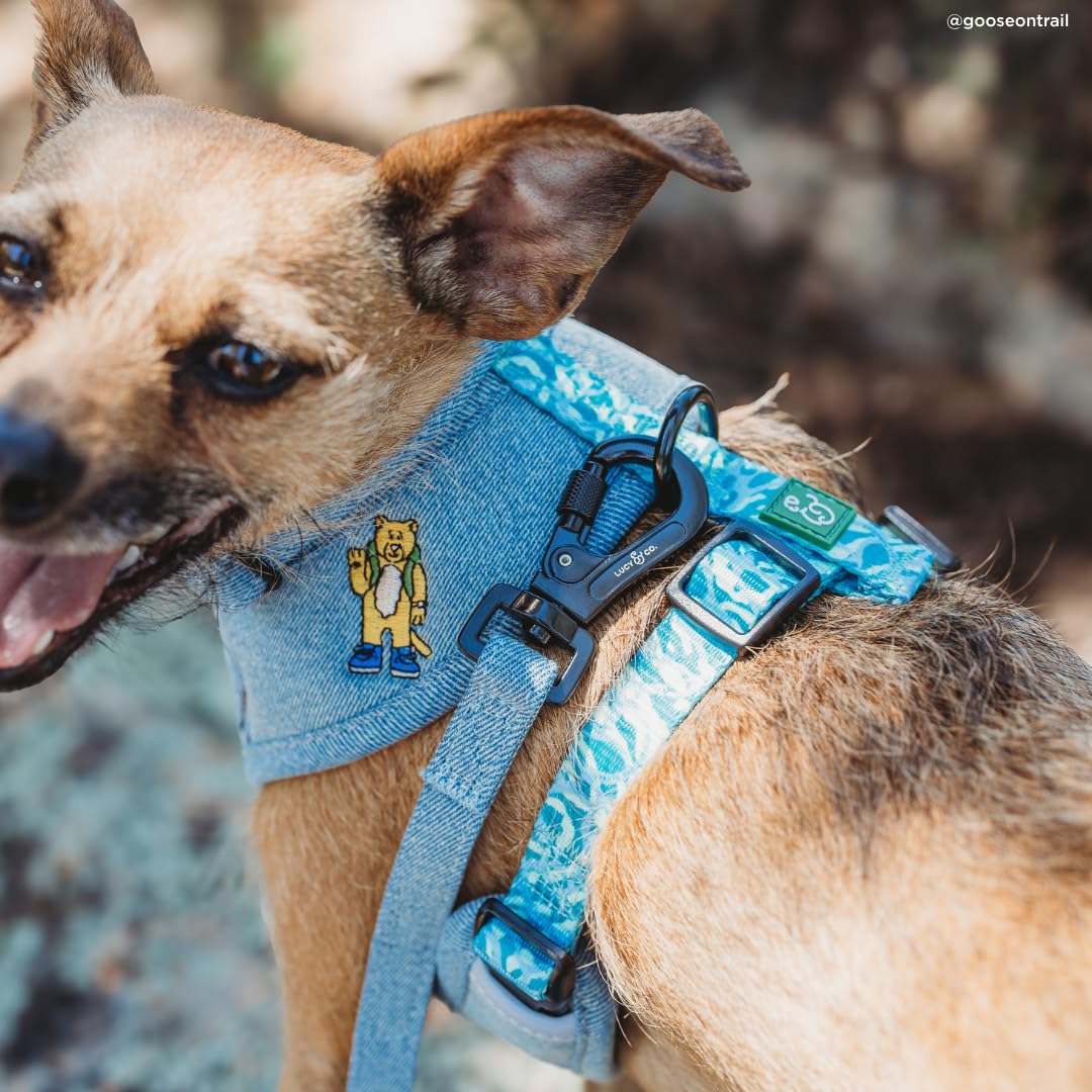 Lucy & Co. x Parks Project Adventures with Friends Guinzaglio per cani, S