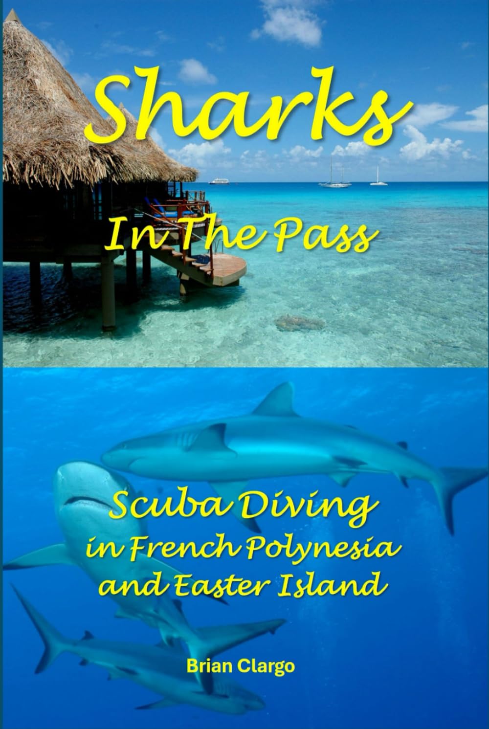 Sharks In The Pass: Scuba Diving in French Polynesia and Easter Island