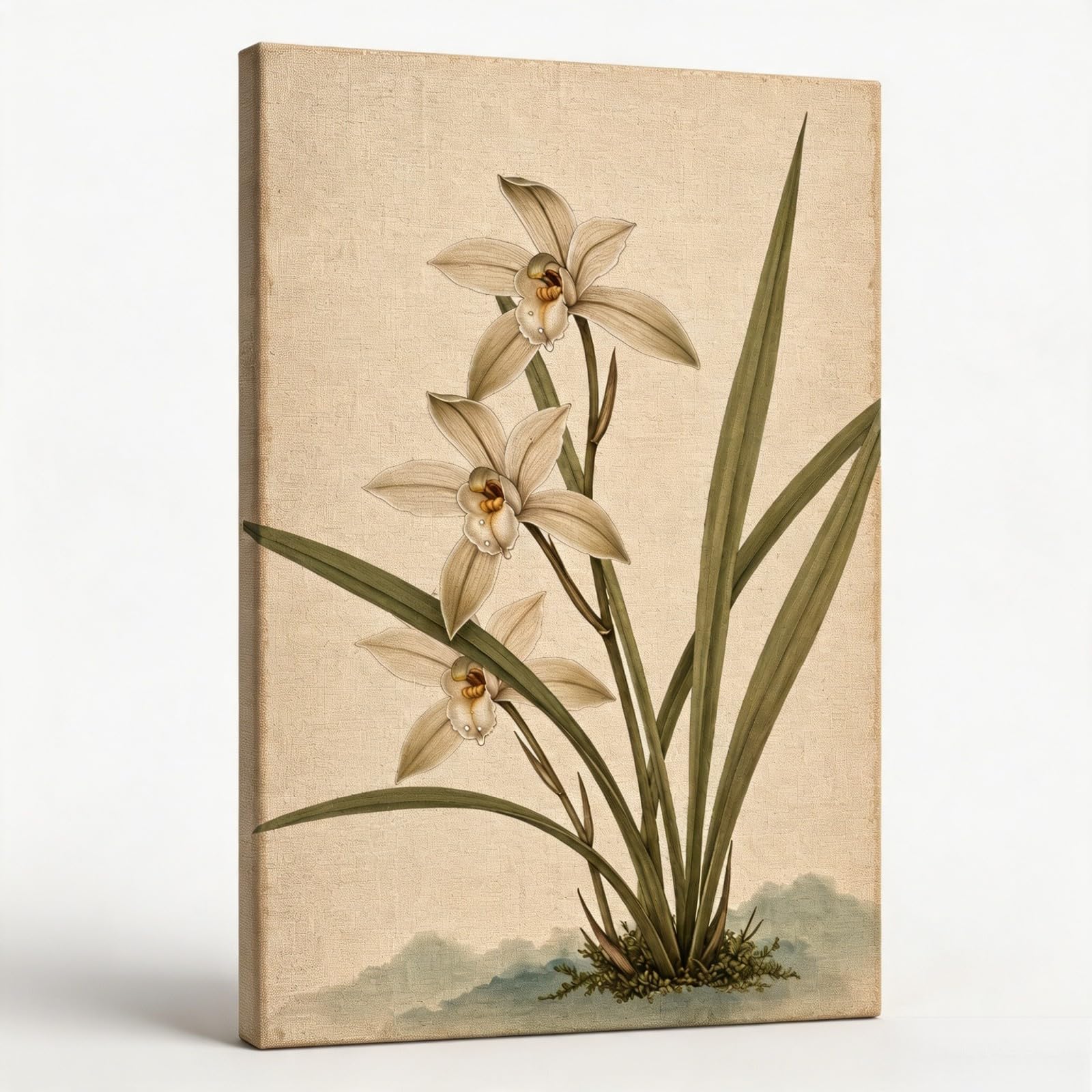 JUYIOPAX Cuadro en Lienzo Vintage Vertical Orquídea Blanca Botánica