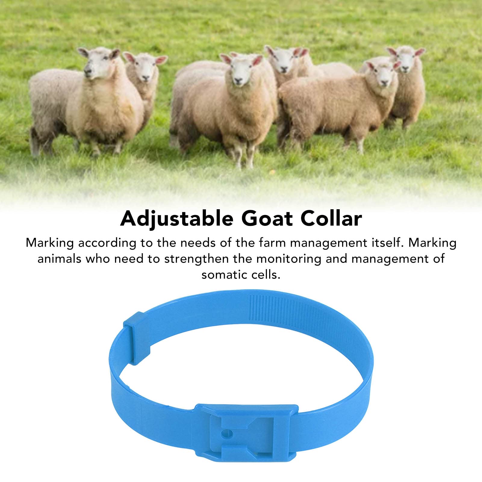 Collier Identification Couleur 23 Pouces en PU Réglable pour Vache Cheval Mouton Chèvre Bétail Ferme Élevage Surveillance Santé Suitable for Adulte et Jeune Animal