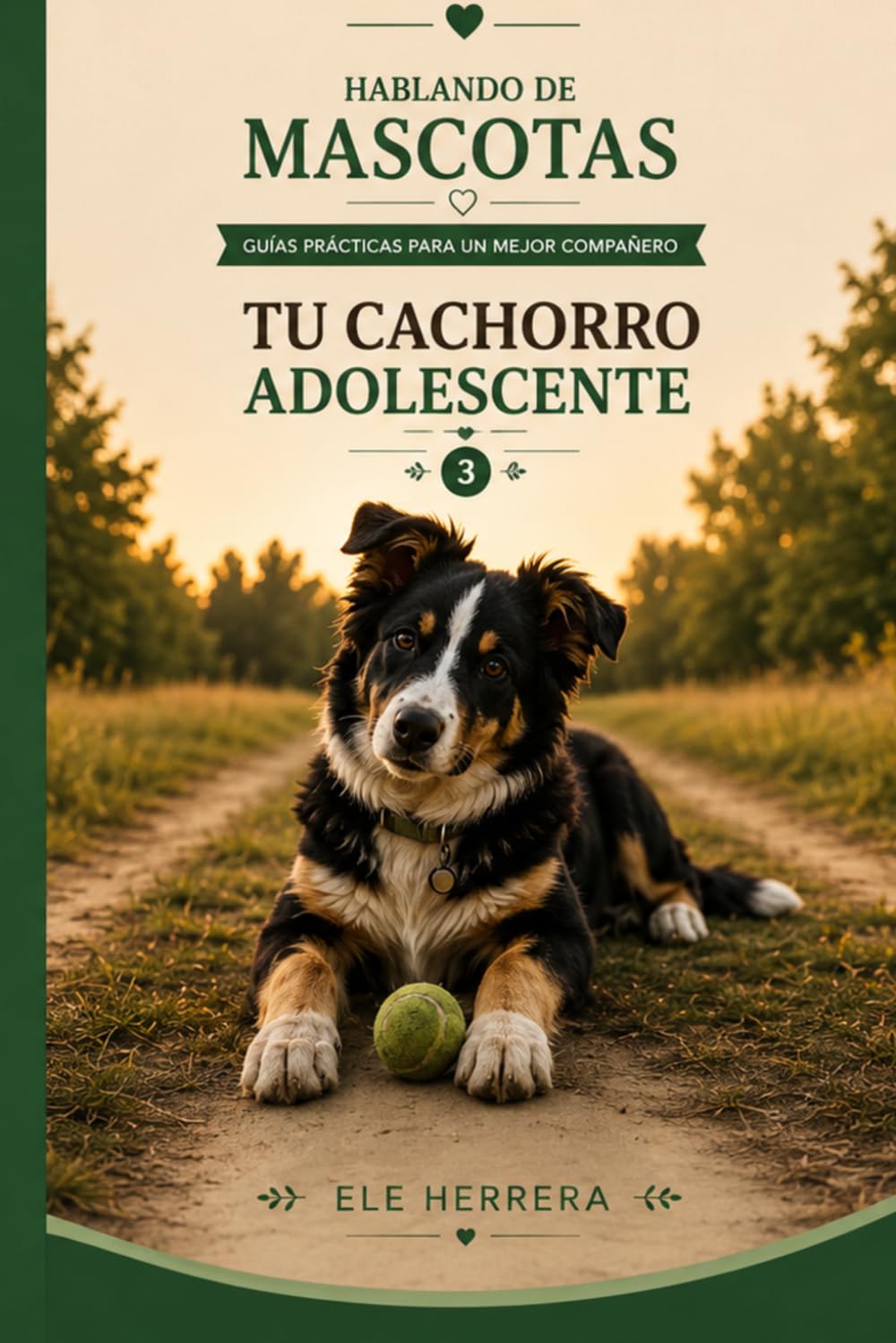 HABLANDO DE MASCOTAS: Tu Cachorro Adolescente