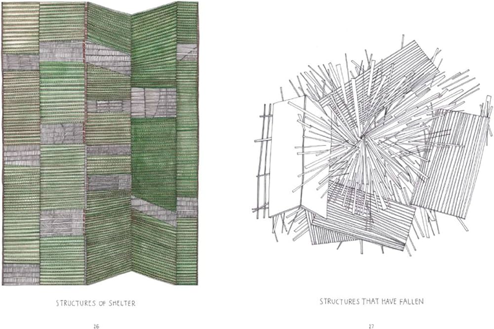 Amazon.com: In The Wilds: Drawings by Nigel Peake: 9781568989525