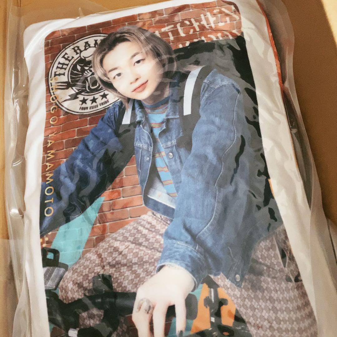 山本彰吾 クッション