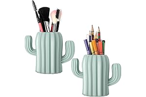 Cactus Pen Holder - Your Desktop Oasis