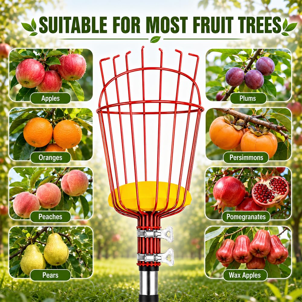 Raccoglitore per mele con manico telescopico, 4,3 m, colore: rosso