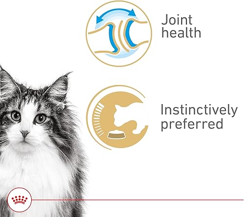 Miniatura 2 de Royal Canin Feline Health Nutrition Aging 12+ Senior Thin Slices in Gravy Cat Food, 3 oz (Pack of 24)