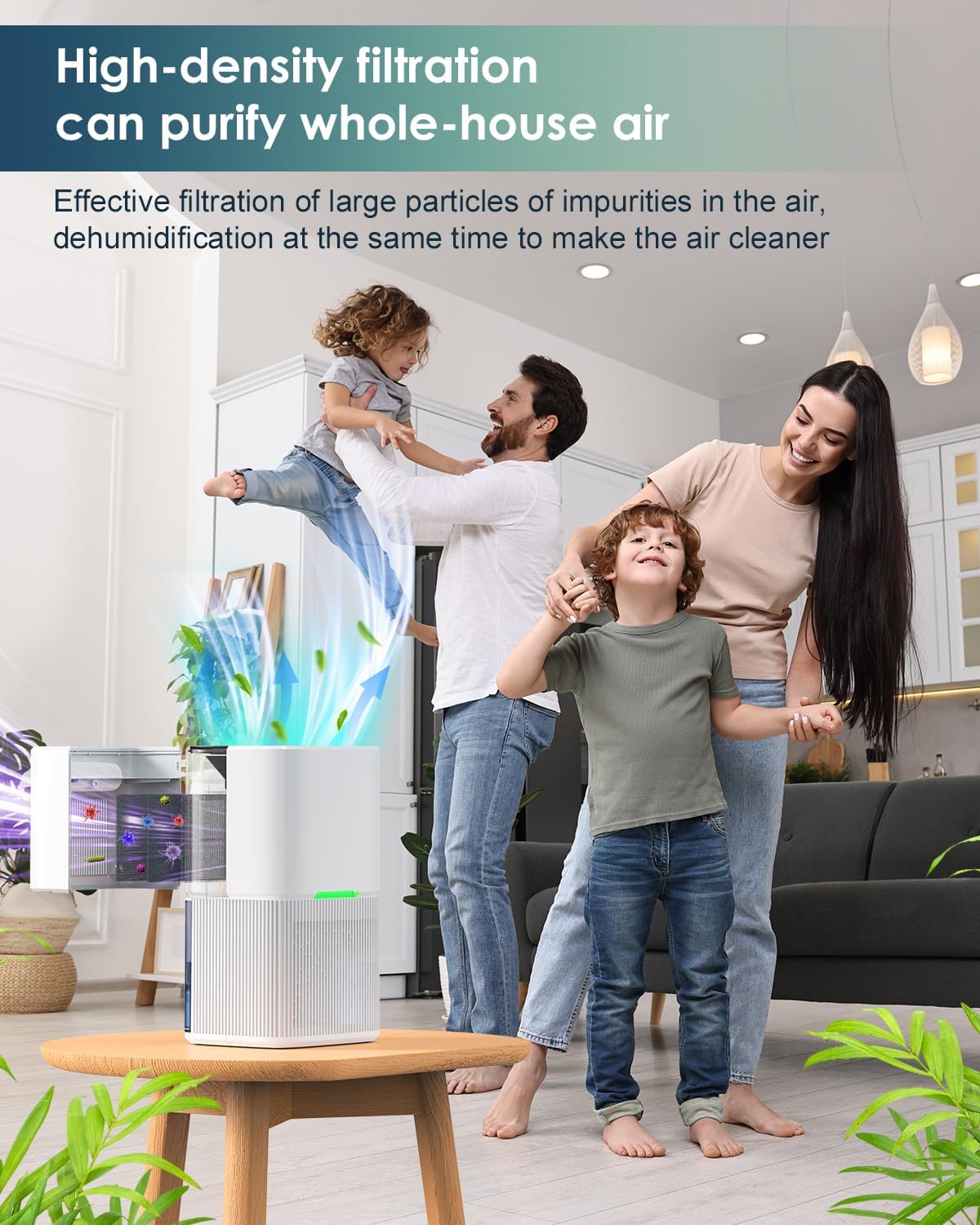 Foto del Deshumidificador