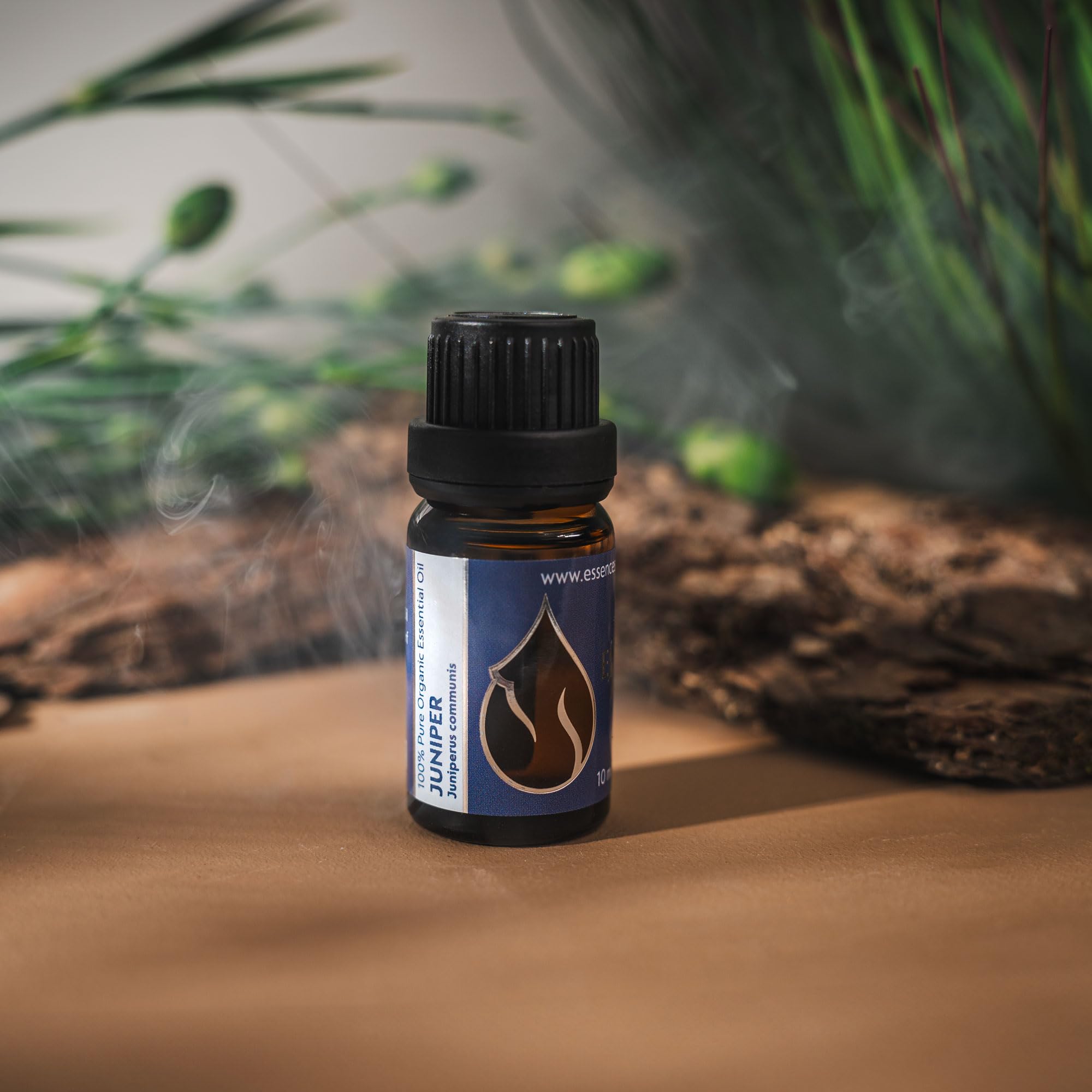 Essences Bulgaria Olio Essenziale di Ginepro Biologico 10ml | Juniperus communis | 100% Puro e Naturale | Non Diluito | Grado Terapeutico | Fattoria a Conduzione Familiare | Distillato a Vapore