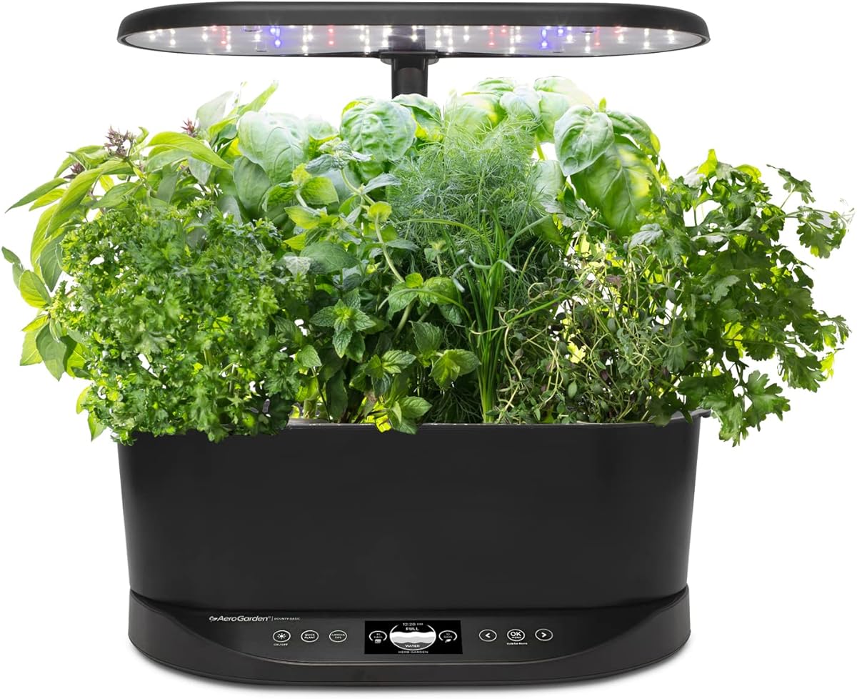 AeroGarden Bounty with herbs growing