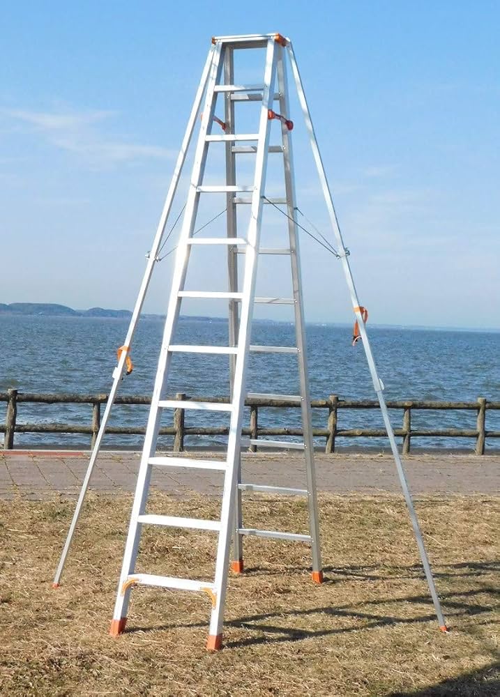 Amazon.co.jp: 倒れないアルミ脚立 11段 不倒脚立 一般工事用