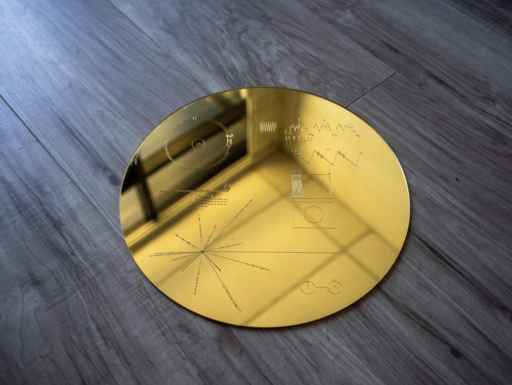 Amazon.com: Mirrored Gold Voyager Golden Record The Sounds of