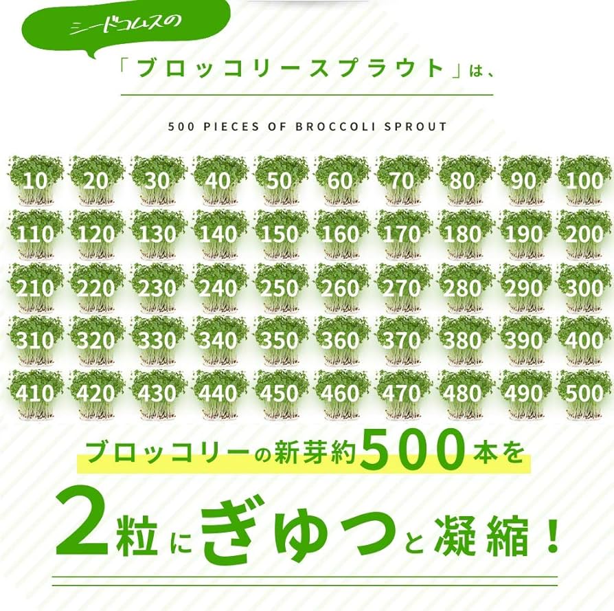 【専用】スルフォラファン3袋 専用】スルフォラファン3袋 楽天市場】ブロッコリー スプラウト