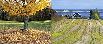 プリンスエドワ-ドアイランド | 吉村 和敏 |本 | 通販 | Amazon