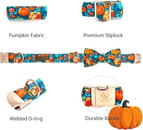 Miniatura 8 de Elegant little tail - Collar ajustable con corbatín para mascotas, suave, cómodo y elegante, diseño femenino con estampado de girasol, para perros