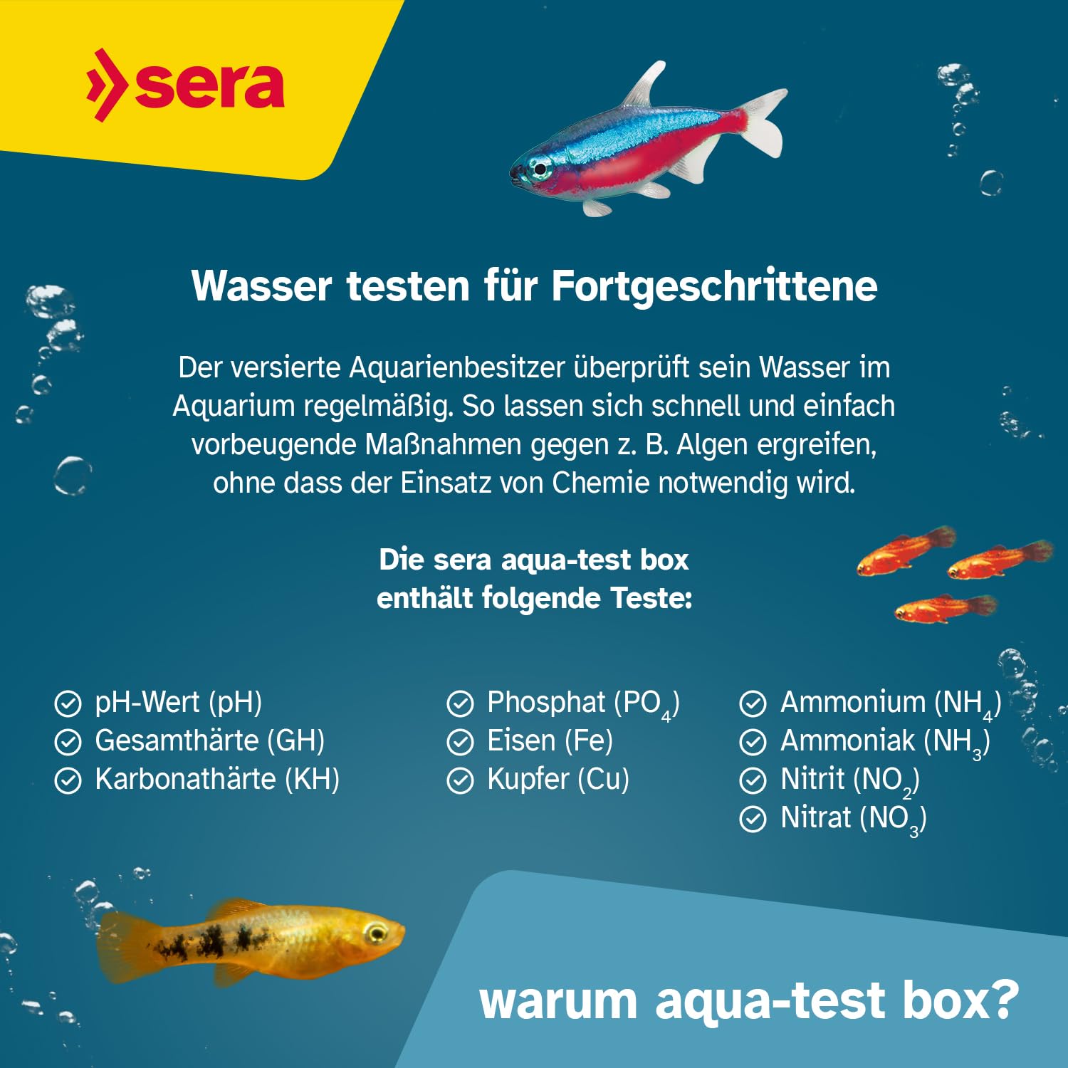 sera Aquarium Wassertest Box | Wasser-Testkoffer für Fortgeschrittene | pH, GH, KH, NH3/NH4, NO2, NO3, PO4, Fe und Cu | schnell, genau, professionell