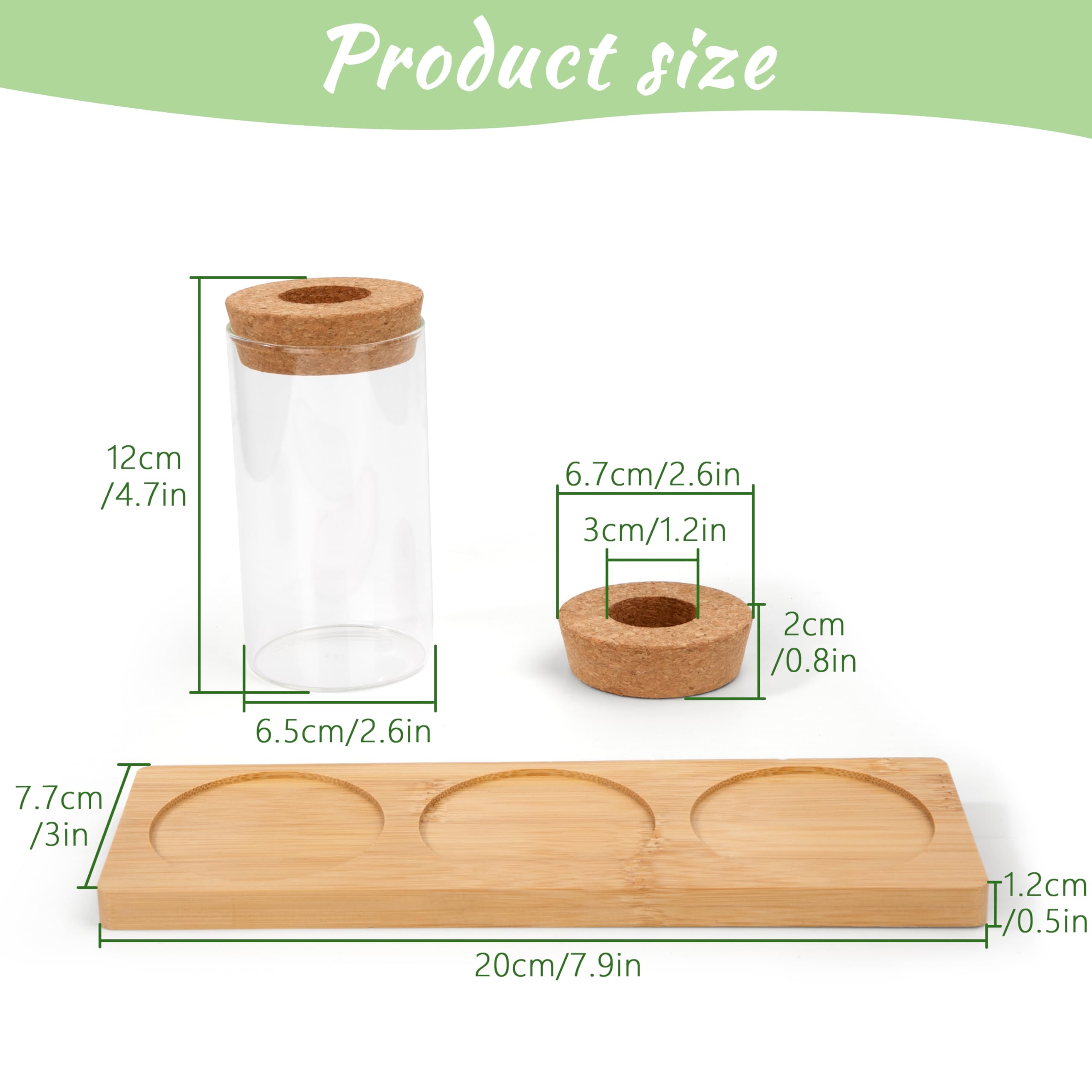 Stations de Propagation de Plantes Vases Hydroponiques avec Socle et Bouchons en Bois pour pour Plantes Aquatiques ou Fleurs 3 Pièces