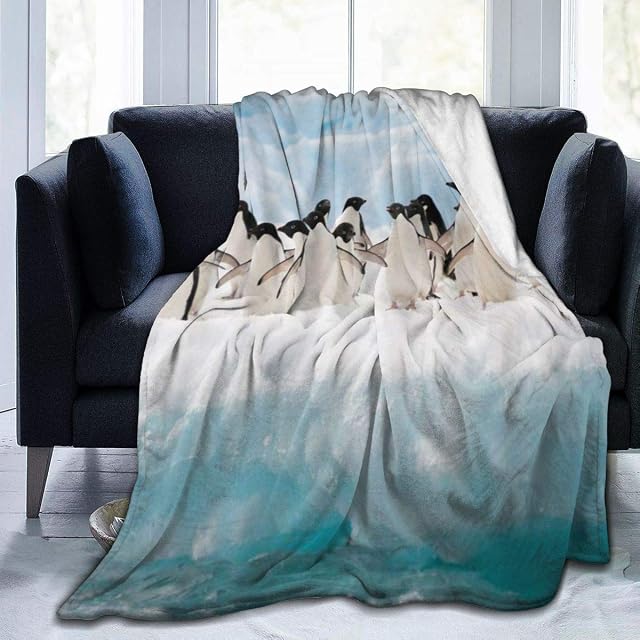 NOLYXICI Soft Fleece Throw Blanket,Cute Penguin Animals Image Penguins Happy Roaming Antarctic Ice Field Funny Nature Scene,Home Hotel Bed Couch Sofa Throw Blankets For Couple Kids Adults,75x125cm