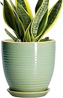 Vista 23 de Macetas de cerámica de 6 pulgadas para plantas, macetas de cerámica con orificio de drenaje y platillo, maceta para plantas de interior, maceta