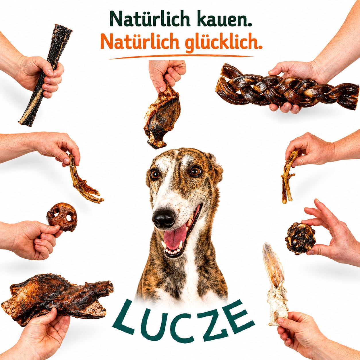 Lot de Oreilles de Porc pour Chiens 1kg, Environ friandises à mâcher 100% Naturelles sans Produits Chimiques, sans céréales, Article à mâcher pour Petits et Grands Chiens, Lucze