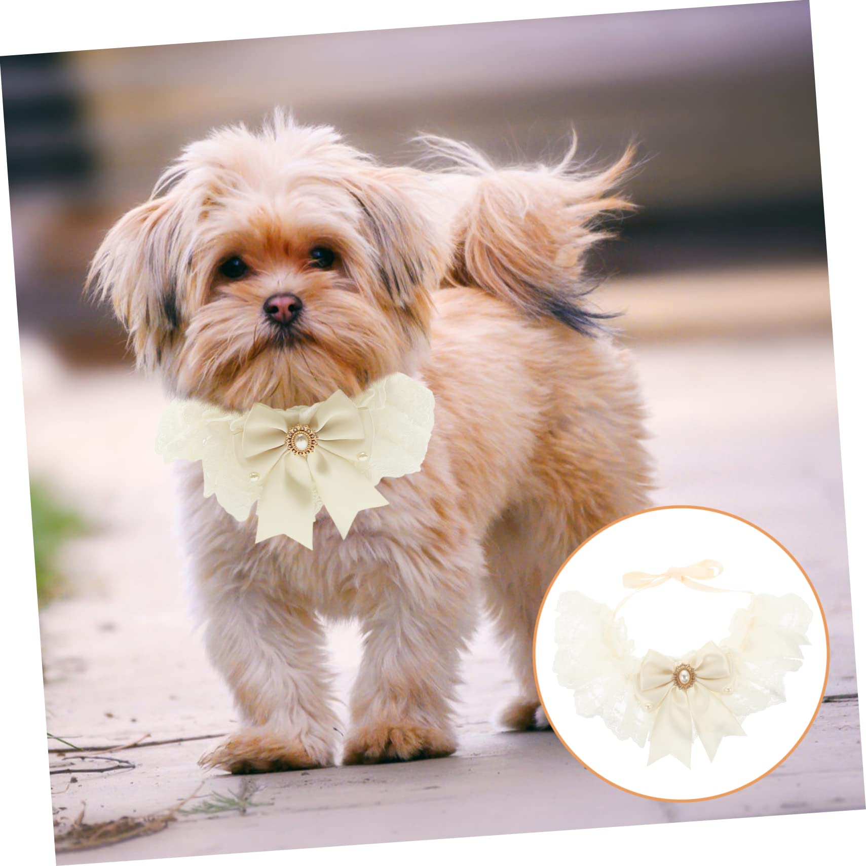 YARNOW 5 Pièces Écharpe De Mariage pour Animaux De Compagnie Collier De Chaton Cravate pour Animaux De Compagnie Chat Dentelle Noeud Collier Bandana pour Chiens De Chat avec Nœud