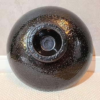 Amazon | 長谷園 ヘルシー蒸し鍋 伊賀焼 iga-mono 蒸し鍋 土鍋 | ノー