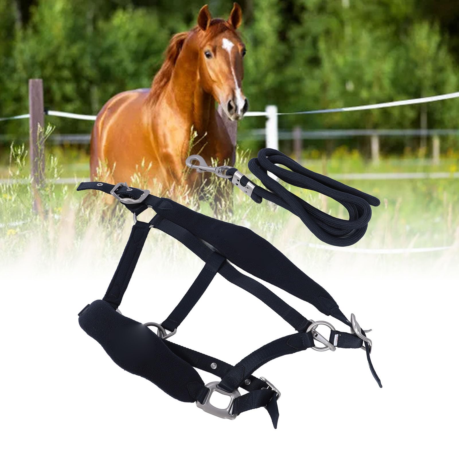 Asixxsix Cabestro de Caballo Ajustable, Banda para la Nariz Acolchada, Cojín para la Cabeza, Cabestro de Entrenamiento de Poliéster con Correa de 2 M, para