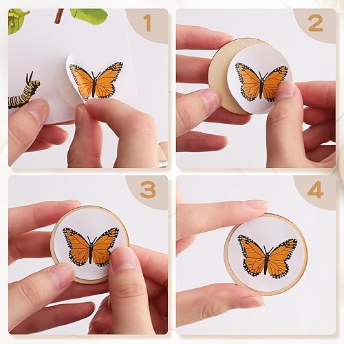 Miniatura 6 de Bandeja de juguetes de madera para el ciclo de vida, ranas para niños, mariposas, pollos, 40 piezas, tablero de rompecabezas de actividades de